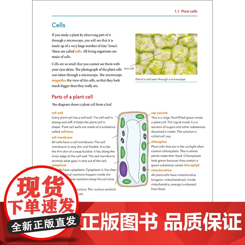 [外研社]新思维科学学生用书7 初中一年级至高中一年级高清大图