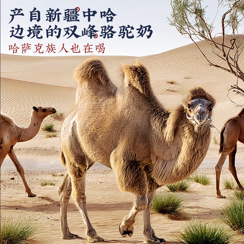 臻牧 百年驼世家配方驼粉400g*2罐礼袋装高清大图