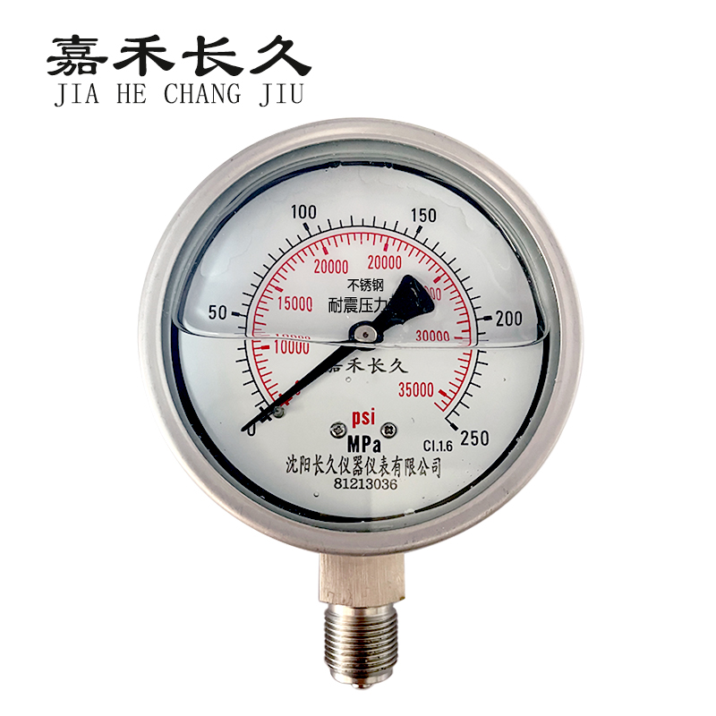 嘉禾长久/不锈钢耐震压力表定制检测型/YN100BF 0-250Mpa/块