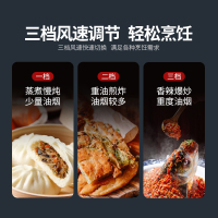 美国浦利顿(plodon)X5 厨房环保灶蒸烤一体 侧吸式抽油烟机燃气灶蒸箱烤箱套装 天然气 集成灶