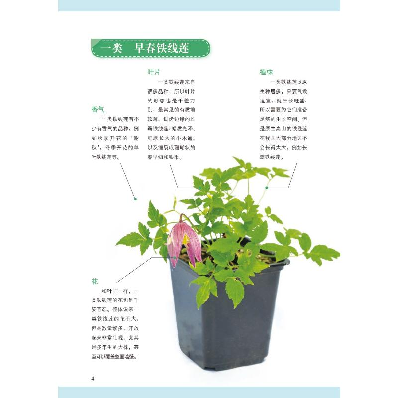 【M】月季栽培完全圣典-9787109267688