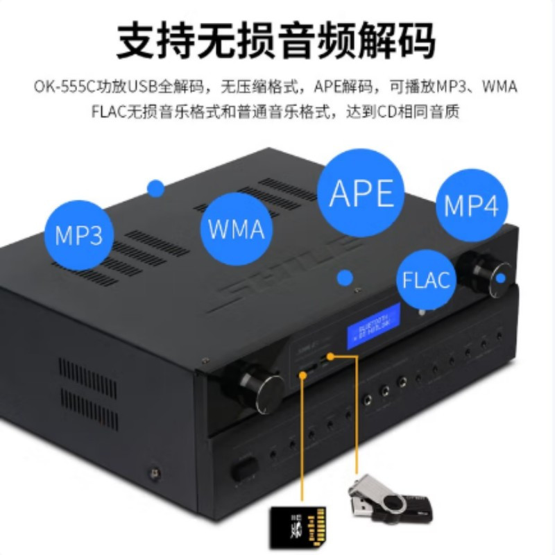 狮乐 功放OK-555C 高保真卡拉OK功放 家用功放 会议定阻功放 USB输入支持无损格式播放