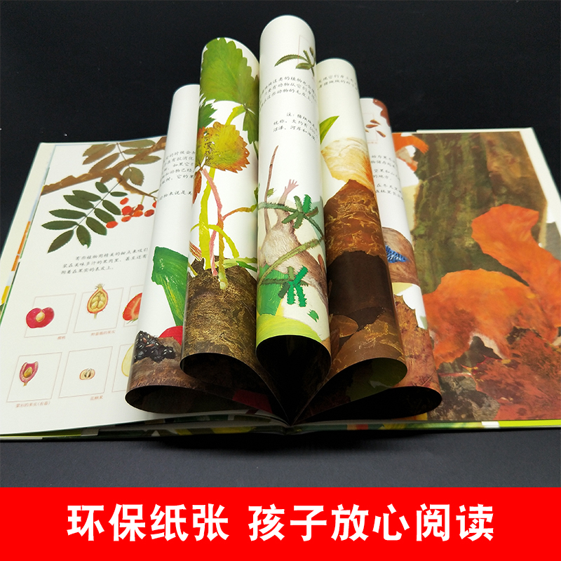 我的野生动物朋友(全新完整版) [正版]一粒种子的旅行绘本 7-12岁小学生课外阅读书籍青少年儿童文学儿童精装故事爱心树高清大图