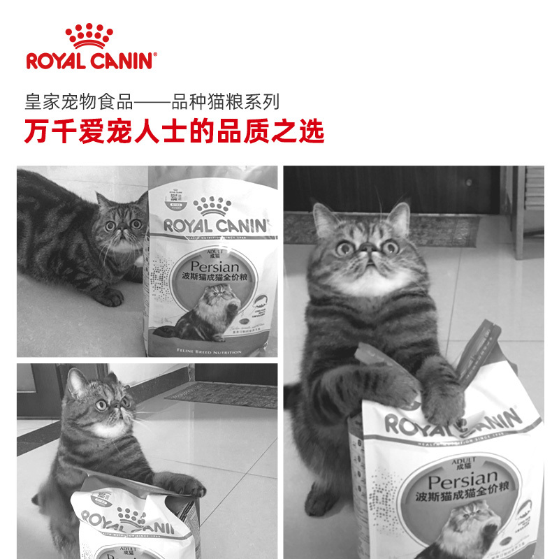 皇家(royal canin) 猫粮 波斯猫 成猫粮 P30 2kg 波斯猫粮 加菲猫