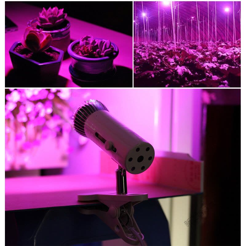 苏宁放心购 全光谱LED植物生长灯E27灯泡室内多肉补光灯10W30W50W80W厂家直销图片