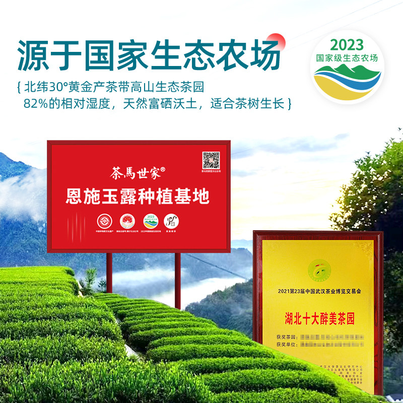 茶馬世家 恩施玉露特级绿茶 隐心臻翠礼盒装200g(50g*4盒)(单位:盒)高清大图