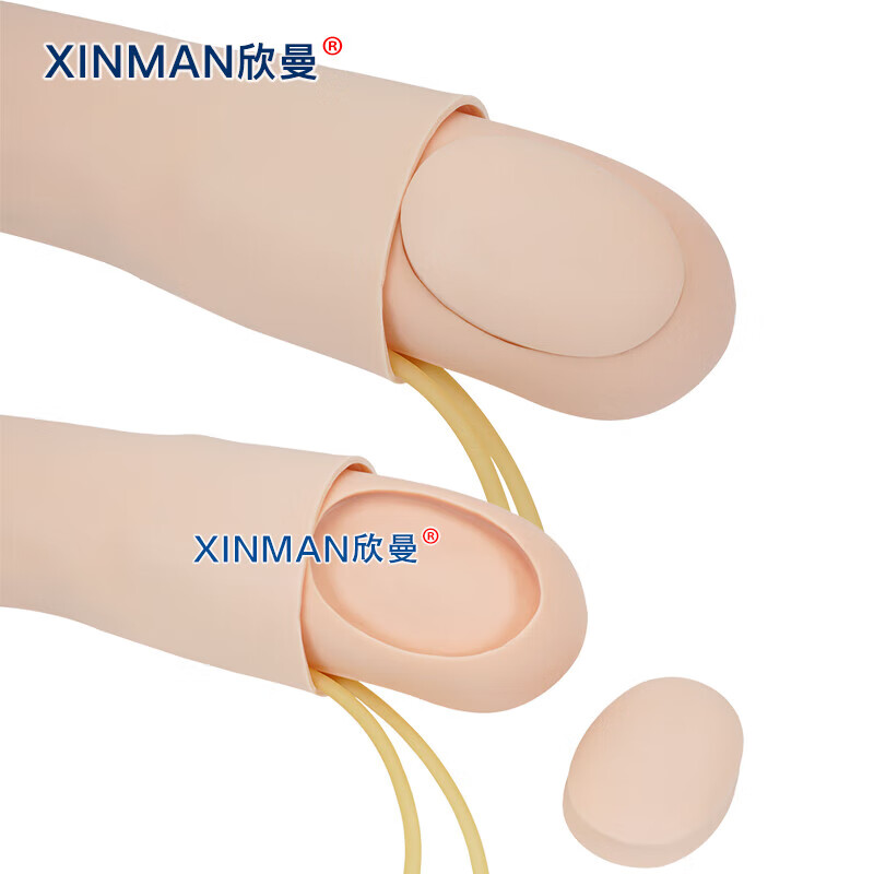 欣曼科教 高级全功能动脉注射与静脉穿刺输液手臂模型XM-S1019A高清大图