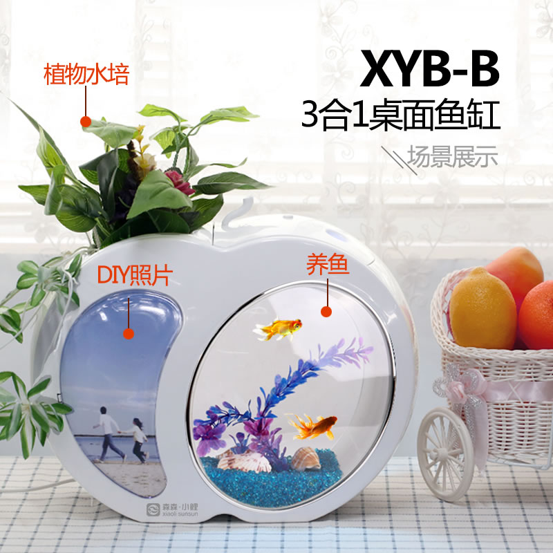 鱼缸水族箱小型办公室桌面迷你免换水圆形斗鱼缸微景观生态缸高清大图