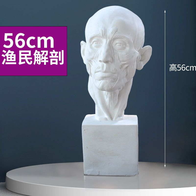 大卫石膏头像67cm石膏像艺考写生教具 石膏雕塑 几何体大卫头像