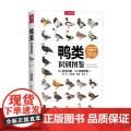 【下架召回】鸭类识别图鉴 氏原巨雄等 著 科普读雄