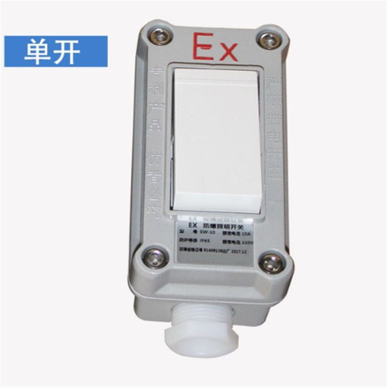 防爆开关 10A,220V,单开
