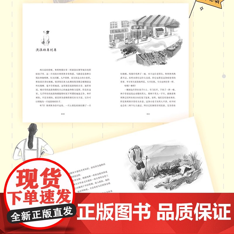流浪狗奥利奥6册动物小说大王沈石溪吉他上的二重唱来自星星的守护黑夜骑手的眼睛拾荒犬的黄金梦6-12周岁小学生课外阅读书高清大图