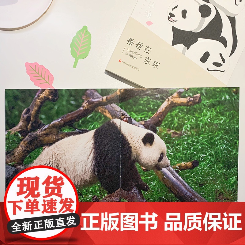 被宠溺的表情 周孟棋 著 童书香香在东京高清大图