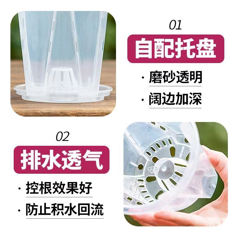 蝴蝶兰专用花盆空气柱透明青山盆特大号大口径塑料圆形桌面高花盆-外径10CM;5个装-带托盘高清大图