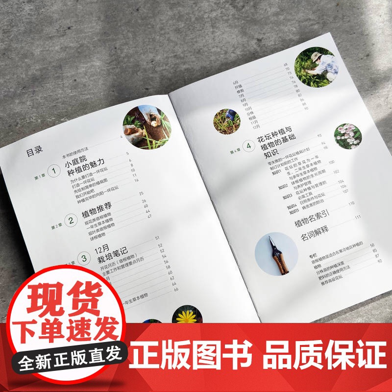 小庭院花坛12月栽培笔记 [日] 河野义雄高清大图