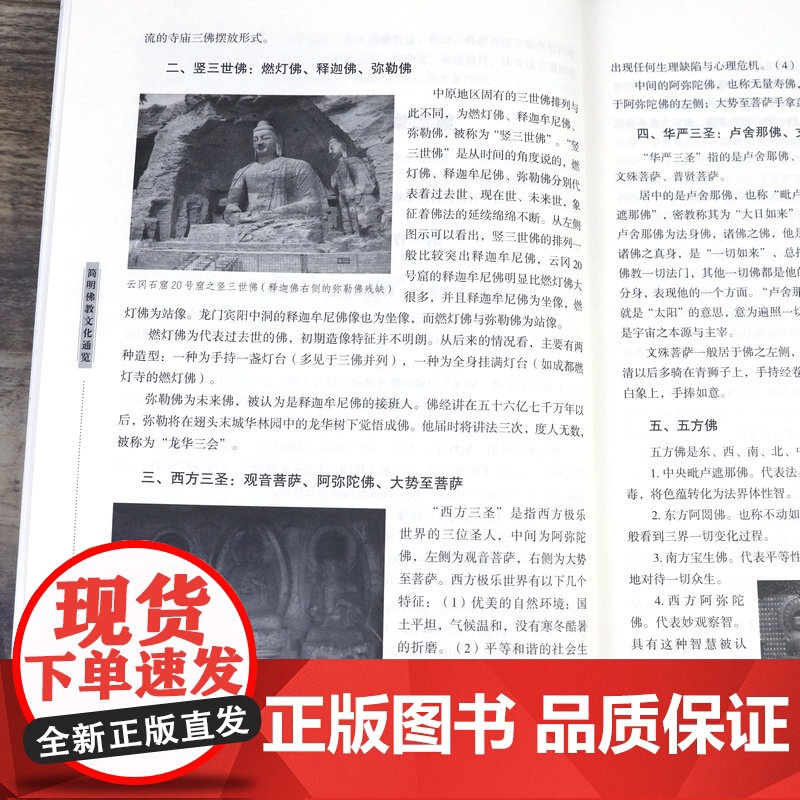 简明佛教文化通览 佛教宗教文化的全面介绍含佛教发展史佛教宗派佛教艺术佛教与文学等佛教文化书籍高清大图