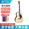 马丁(MARTIN)GPC13E-01全单电箱民谣吉他GP型缺角41英寸 云杉面板背侧十二雄蕊破布木 原装进口