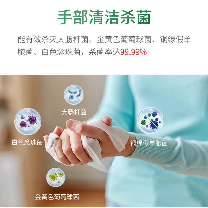 洗得宝 季铵盐消毒湿巾 80片/包 不含酒精 清洁 湿巾 XDB-JAYSJ1499高清大图