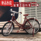 真智力仿真自行车模型摆件 二八大杠单车复古手办合金迷你手工玩具摩托