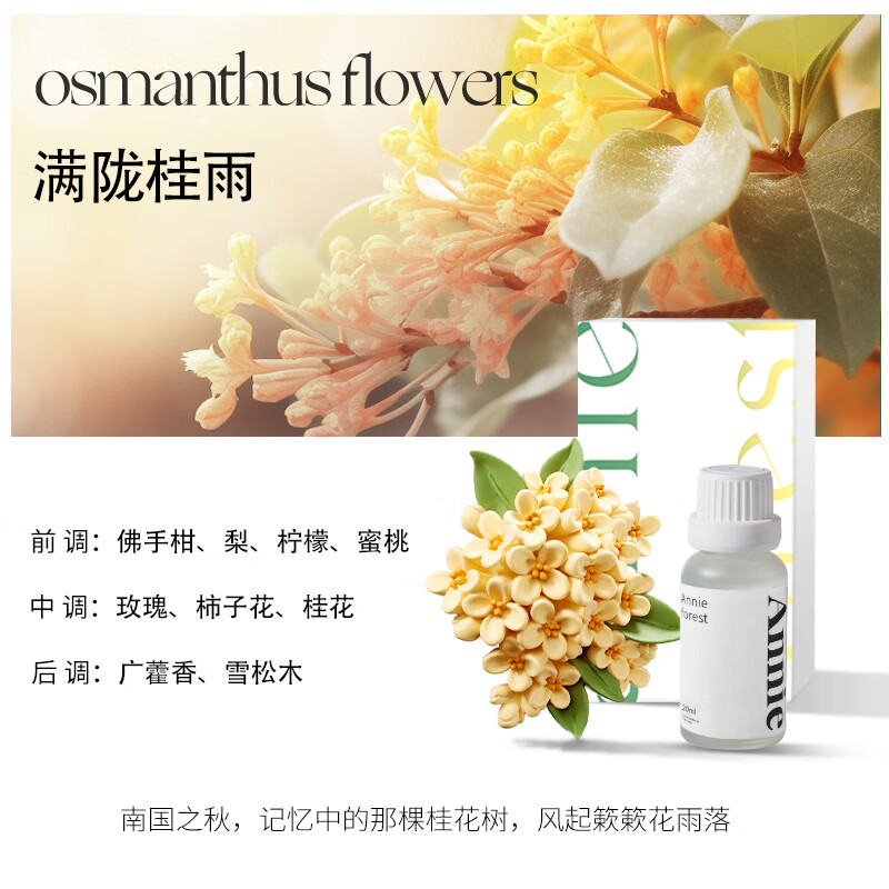 尹谜 桂花车载扩香石 车载香薰扩香石汽车空调出风口香水车内装饰