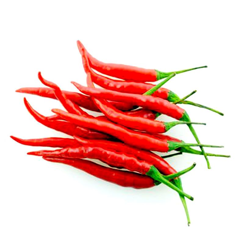 朝天椒四川泡椒小米辣辣椒种子野山椒小白米椒超级辣辣椒种子朝天椒