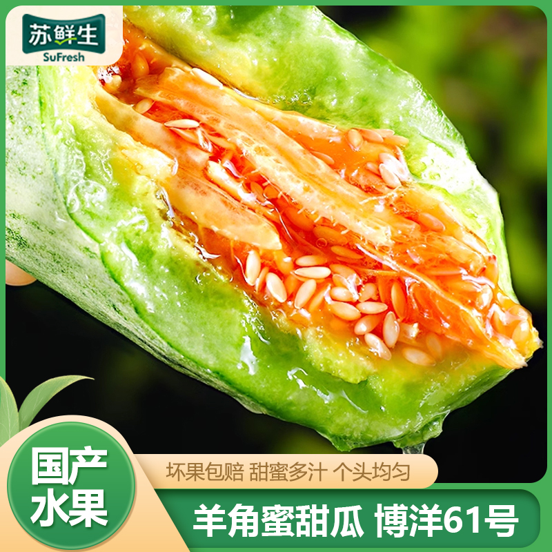 【苏鲜生】新鲜羊角蜜甜瓜 博洋61号 净重2.8斤