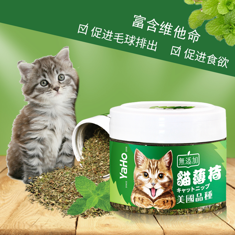 [买2送1]亚禾 猫薄荷250ml罐装薄荷球 猫草 猫零食 助排毛球 清洁