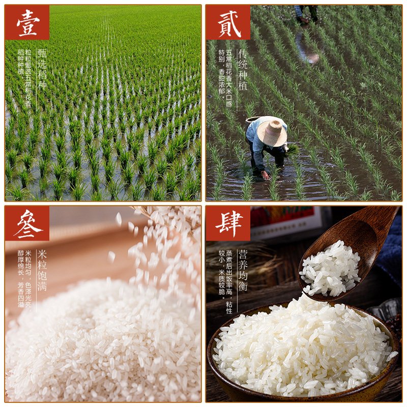[规格:10kg/袋]米 五常米晶元小町大米10kg