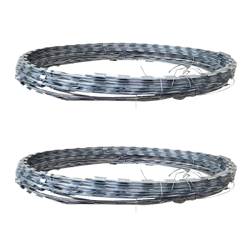 赞属 刺丝滚笼 圈径450mm 捆