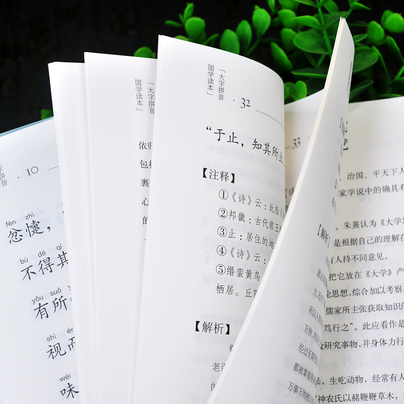 [正版]大字版大学国学读本 拼音注音版蒙学启蒙幼儿小学生一年级二年级 周奉真注析儒家古汉语礼记高清大图