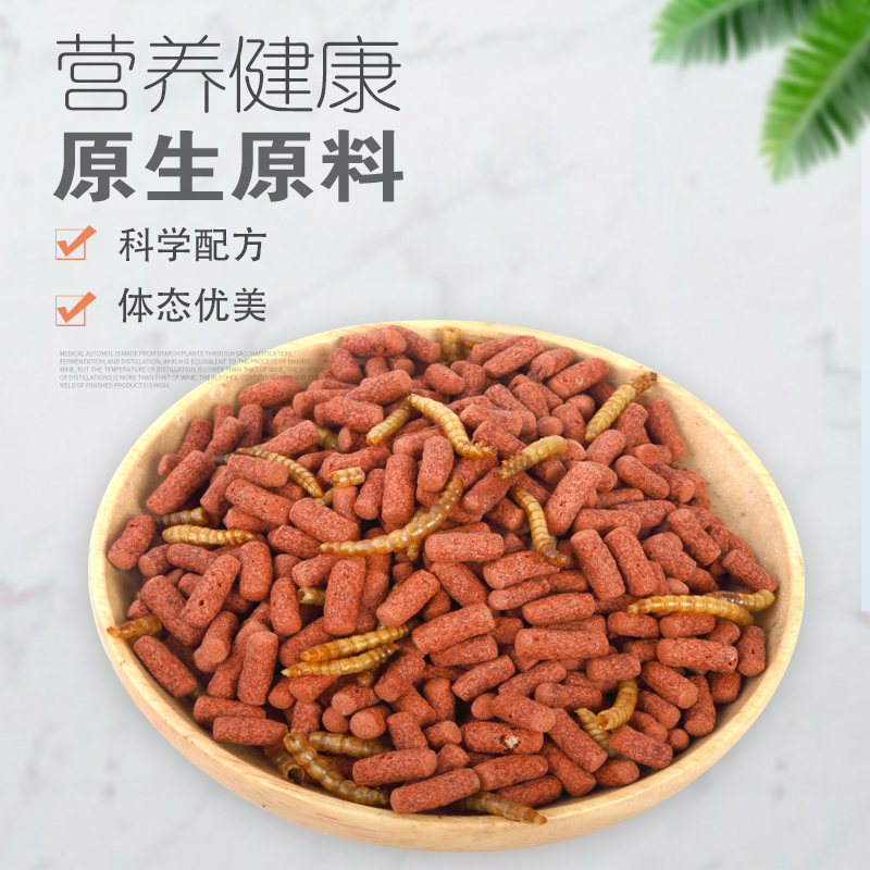 鱼食银龙鱼饲料专用鱼食金龙鱼地图鱼鱼粮中大型鱼面包虫颗粒增色高清大图
