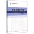 西部发展的忖量:基于区域自我发展能力的理论框架与实践探索