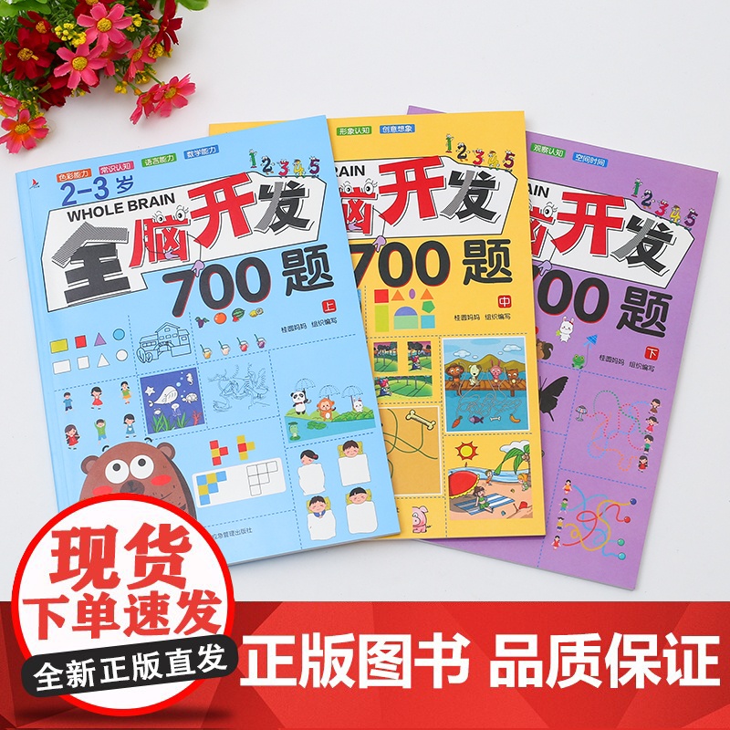 全套3册 2-3岁儿童潜能全脑700题 全书幼儿宝宝左右脑开发书大脑智力逻辑思维训练早教书籍幼儿园益智启蒙专注力绘本游戏高清大图