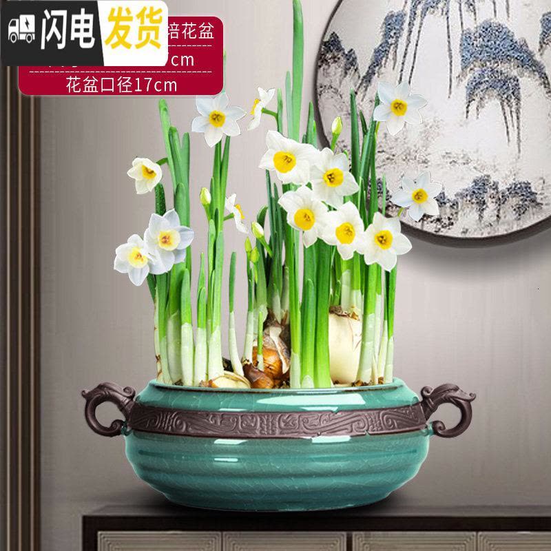 三维工匠新中式禅意铜钱水仙花专用水培花盆载植物好养创意陶瓷室内个性