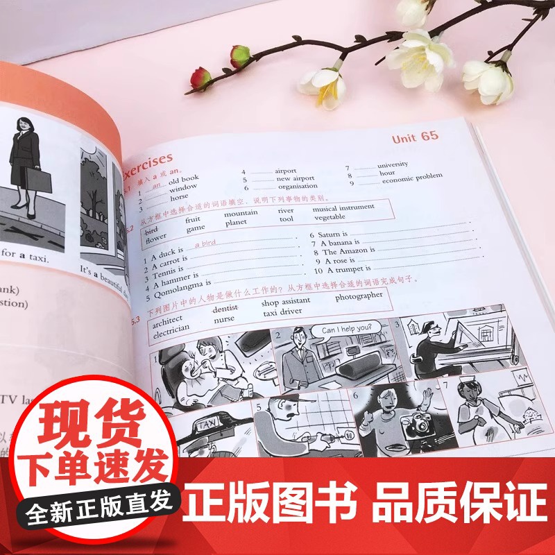 [正版]剑桥初级英语语法 新概念英语1语法练习 Leo老师 中考英语作文初中单词初一大全七年级英语 英语在用Englis高清大图
