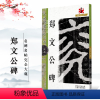 [正版]名碑名帖完全大观郑文公碑 魏碑毛笔软笔字帖 原碑拓字放大 笔法偏旁部首结体章法解析初学者入门书法教程 江西美术