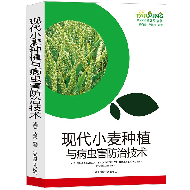 [正版]现代小麦种植与病虫害防治技术农业种植标准化生产优质品质选择播种管理施肥与创新技术冬小麦安全储存技术病虫害防治方法高清大图