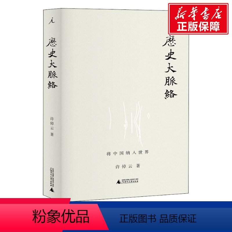 【正版】历史大脉络 许倬云 广西师范大学出版社 书籍 书店