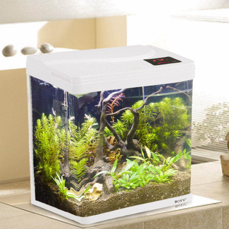 水族箱小型玻璃鱼缸过滤器客厅生态造景家用免换水金鱼缸缸高清大图
