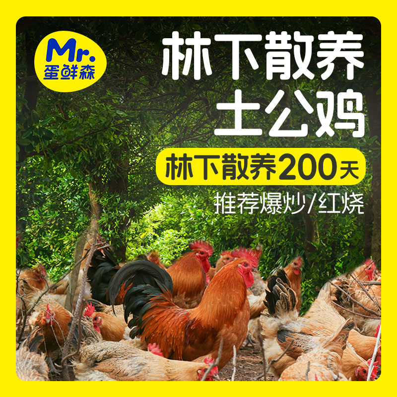 蛋鲜森 林下散养土公鸡 散养200天土公鸡 1kg±100g/只真空净膛 1000g/只