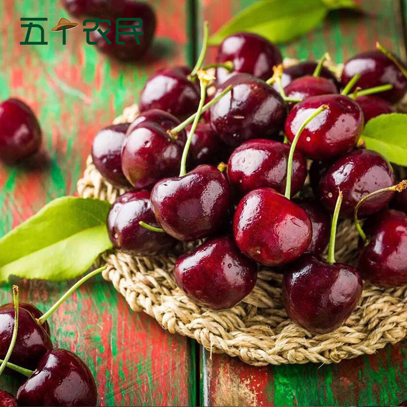 [五个农民]智利进口原箱santina桑提娜JJ级车厘子2500g红宝石樱桃新鲜水果顺丰空运