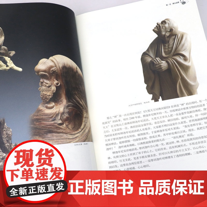 菩提达摩 中国传统形象图说佛像图谱图典图案图集佛教造像造型书籍高清大图