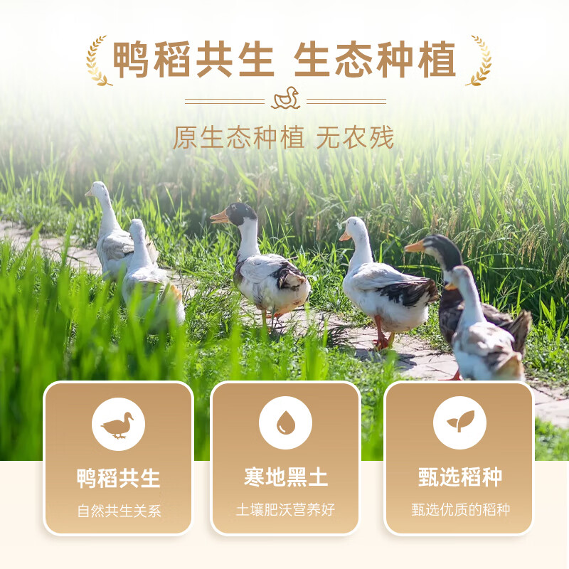咪然 天然鸭稻米 生态珍珠米5kg高清大图