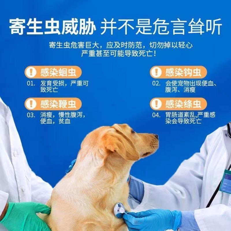 德国拜耳拜宠清狗狗体内驱虫泰迪金毛比熊大小型犬打虫片通用 体外滴剂1瓶