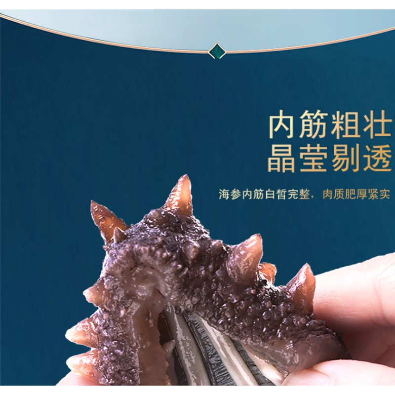 黄海(HUANGHAI) 淡干海参 500g 盒装