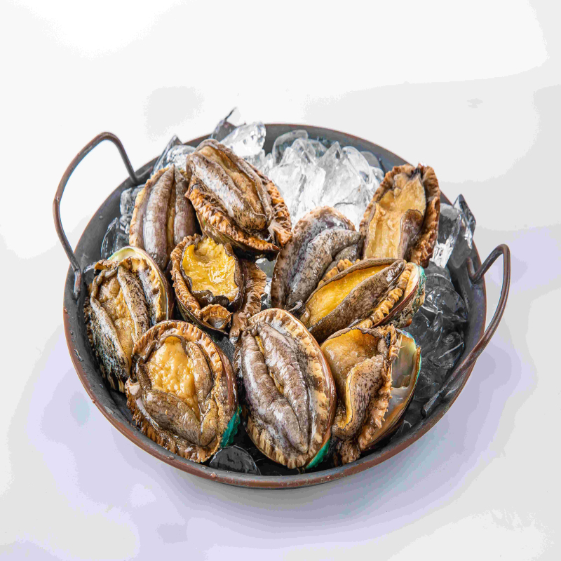 明盛恒海 甄选活鲍8头鲍/3斤