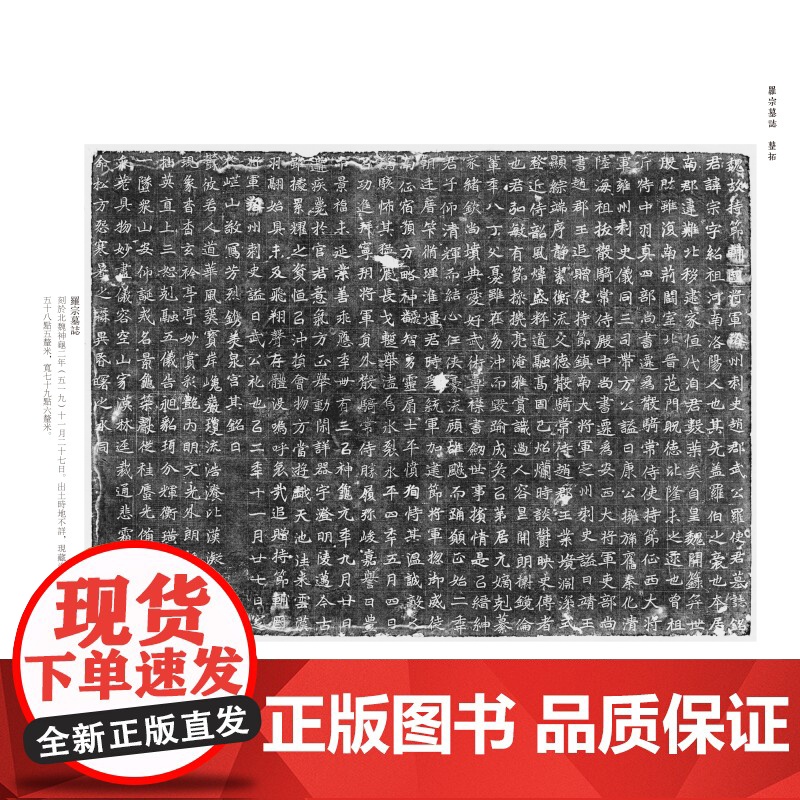 北朝墓志精粹五 罗宗墓志王曦墓志高猛墓志殷伯姜墓志封之秉墓志宇文悦墓志贺收及夫人侯氏墓志上海书画出版社 篆刻书法毛笔字帖高清大图