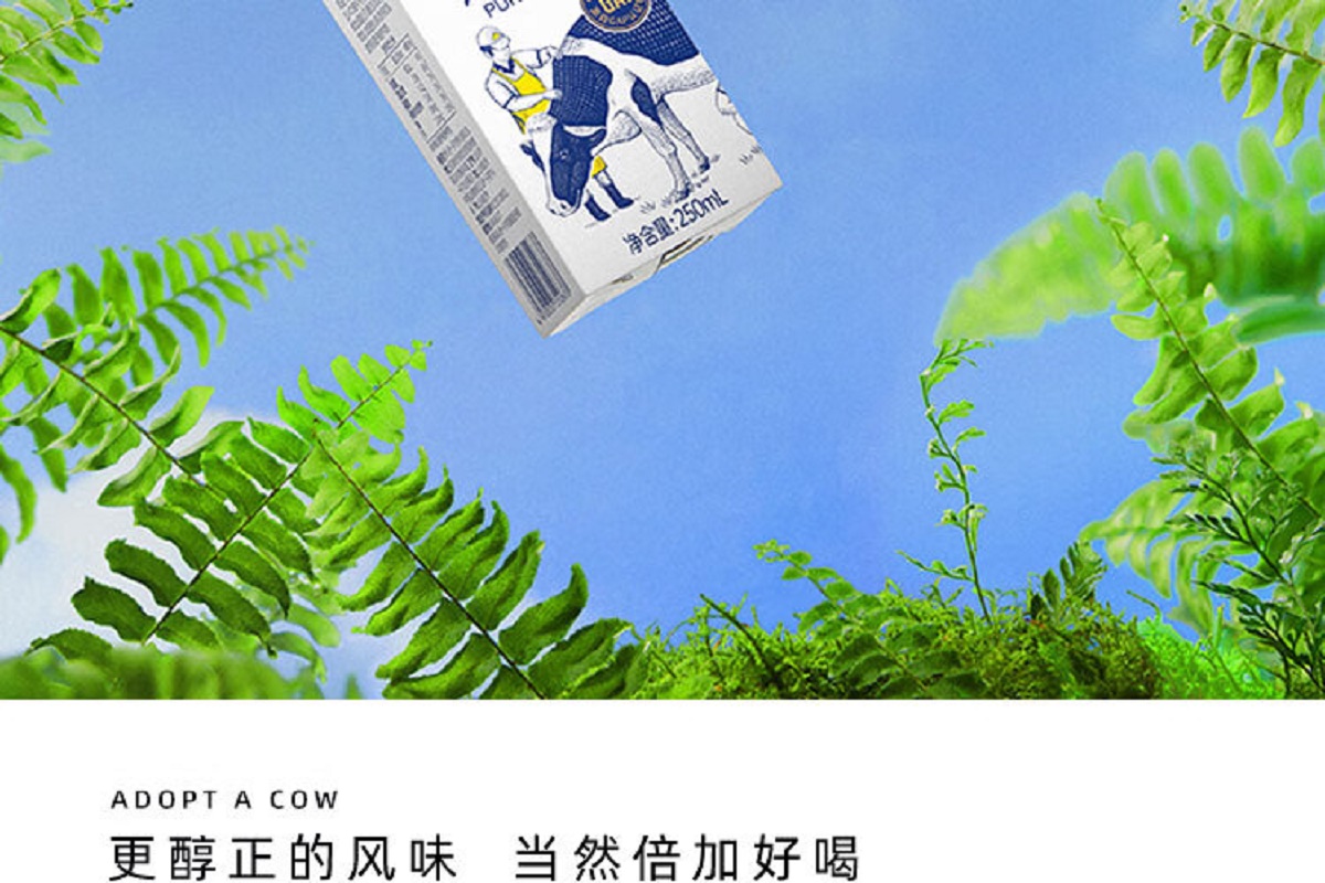 认养一头牛 3.6g蛋白纯奶 250ml利乐砖12入一提装高清大图