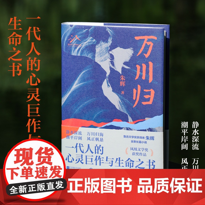万川归 凤凰文学奖 朱辉著 三种截然不同的人生轨迹,一代知识分子的共同成长史,还原时代浪潮中人们的精神世界 长篇小说高清大图