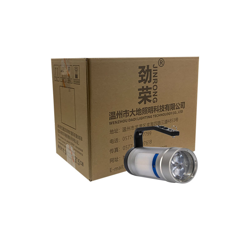 劲荣(JINRONG)BWJ6310-A 12W 多功能灯(计价单位:盏)银色
